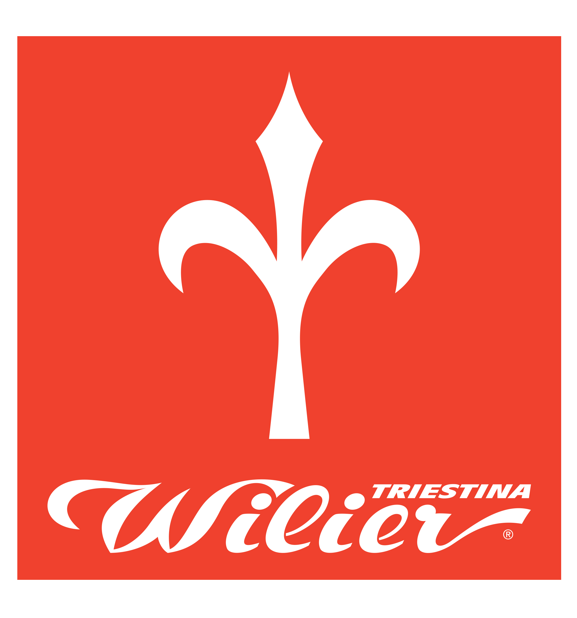 Bici da corsa, gravel, mtb, e-bike a pedalata assistita del marchio leader mondiale Wilier Triestina.